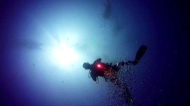 海底清道夫