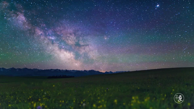 中国人的一天：追星老万