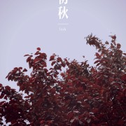 刘铭坤头像