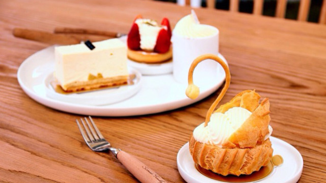 COTTON CAKE棉点蛋糕