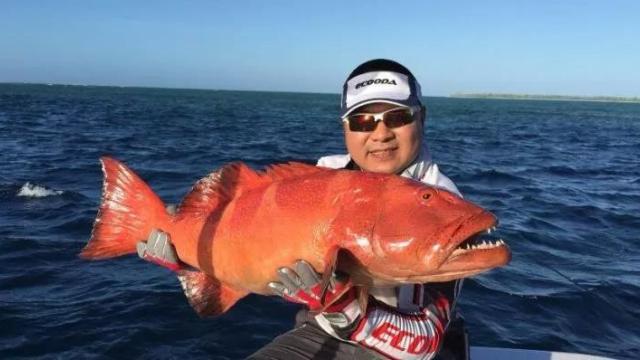 乘风破浪