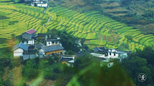 三色世界无限美