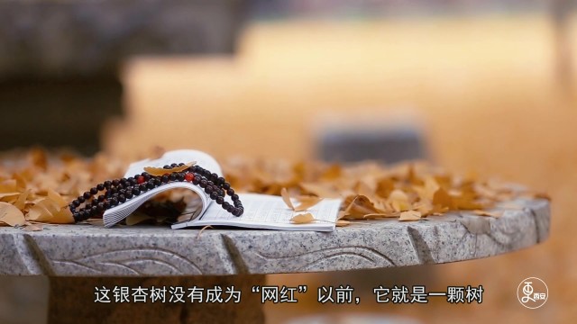 满城尽落黄金甲