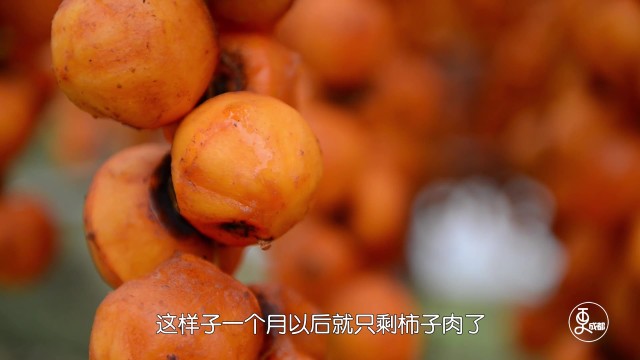 苏阳柿饼