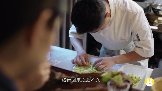 鹈鹕