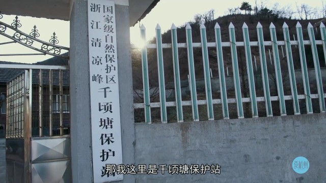 山中的家
