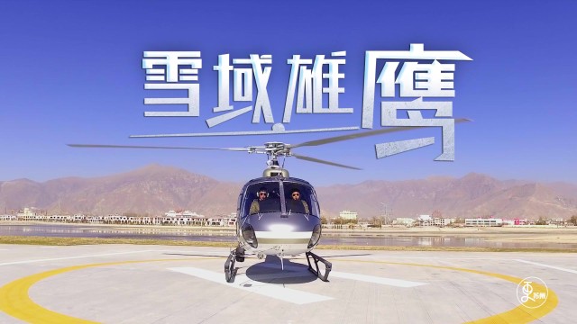 雪域雄鹰